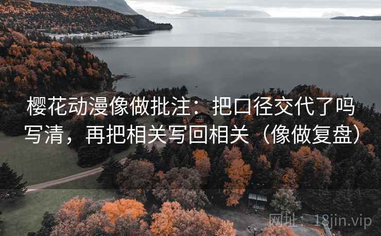 樱花动漫像做批注：把口径交代了吗写清，再把相关写回相关（像做复盘）  第2张