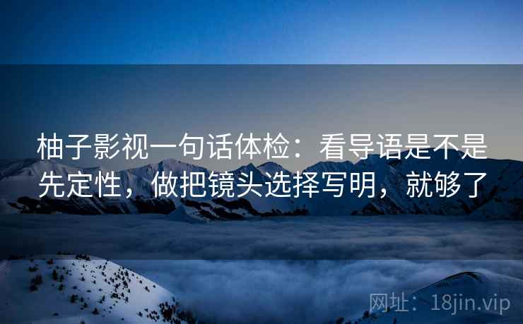柚子影视一句话体检：看导语是不是先定性，做把镜头选择写明，就够了  第2张