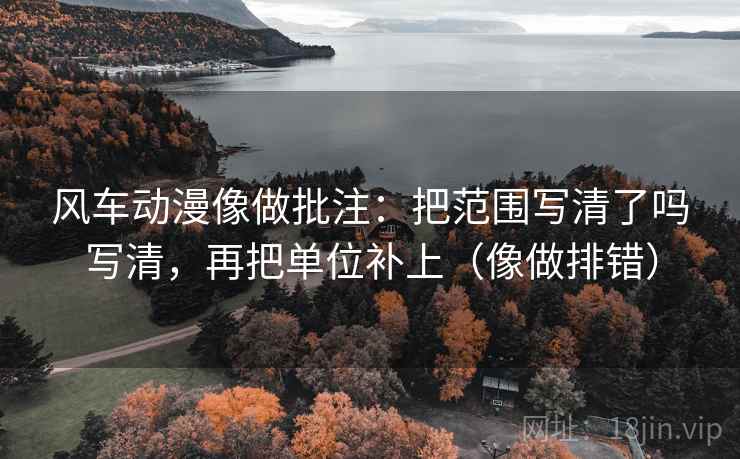 风车动漫像做批注：把范围写清了吗写清，再把单位补上（像做排错）